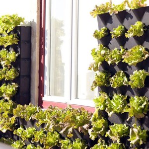 vertikálny set Minigarden zelený, vertikálna záhrada, živé steny, vertikálny set Minigarden